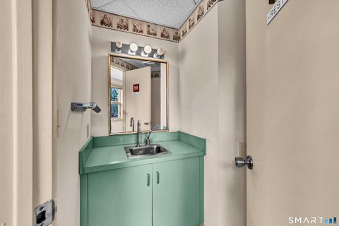 Tiny photo for 15 Old Park Lane Road #1C, New Milford, CT 06776 (MLS # 24143337)