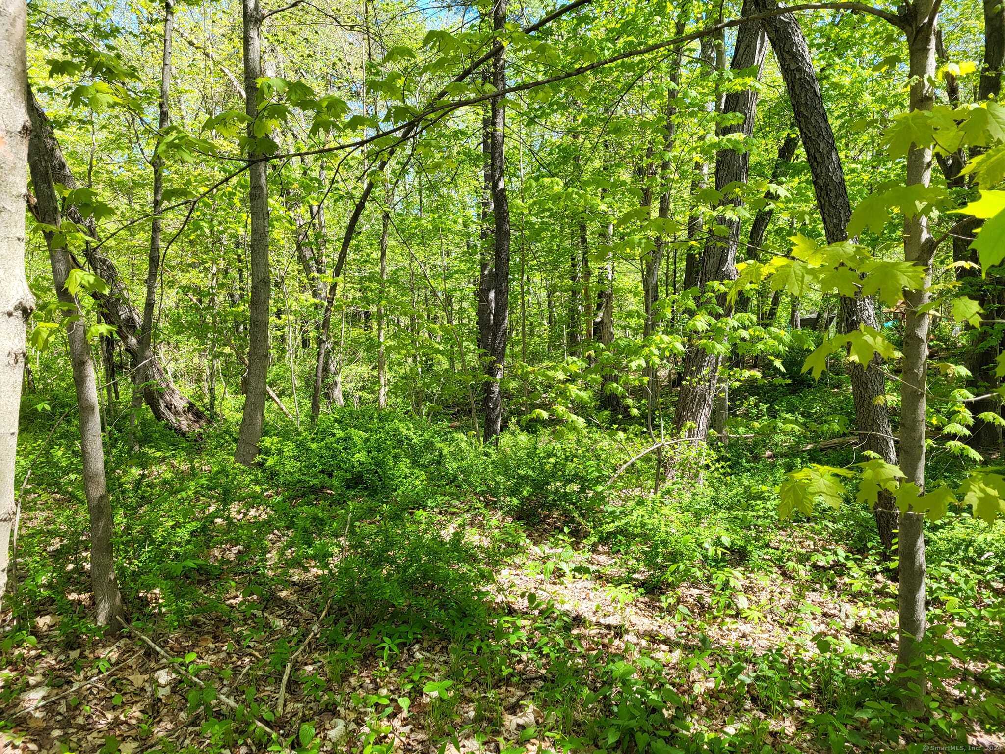 0000 Conklin Rd Road, Stafford, Connecticut image 30