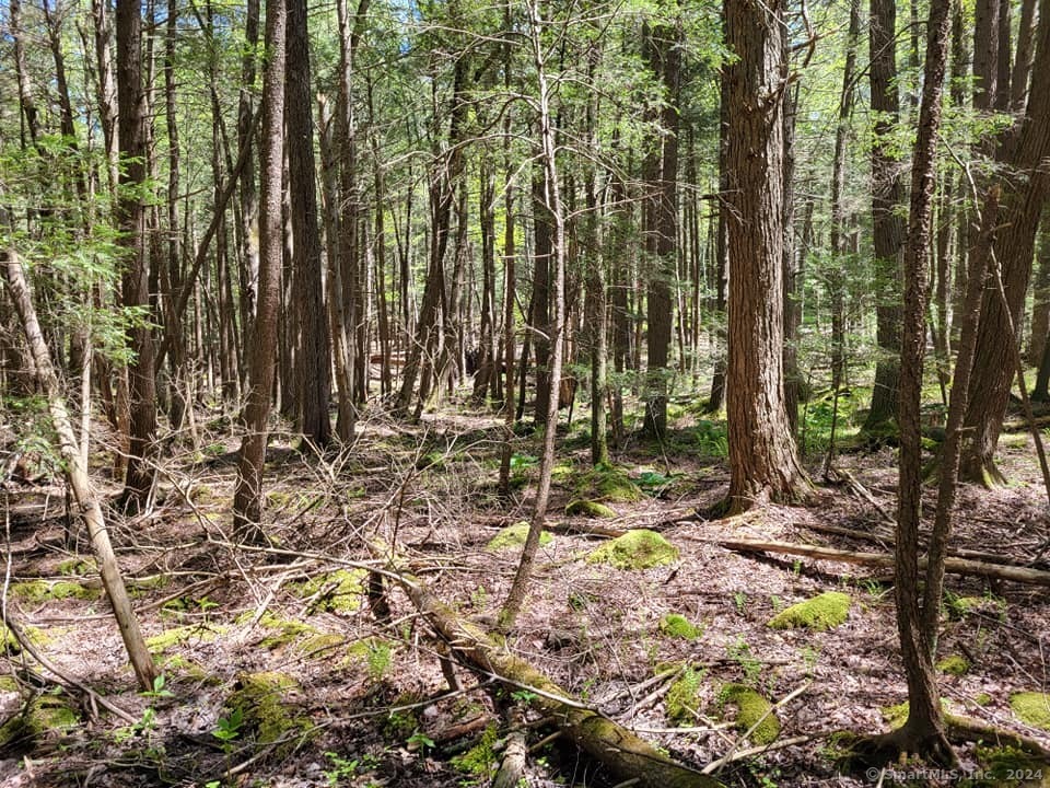 0000 Conklin Rd Road, Stafford, Connecticut image 25