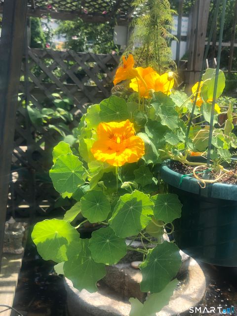 Tiny photo for 671 Rubber Avenue, Naugatuck, CT 06770 (MLS # 24155489)