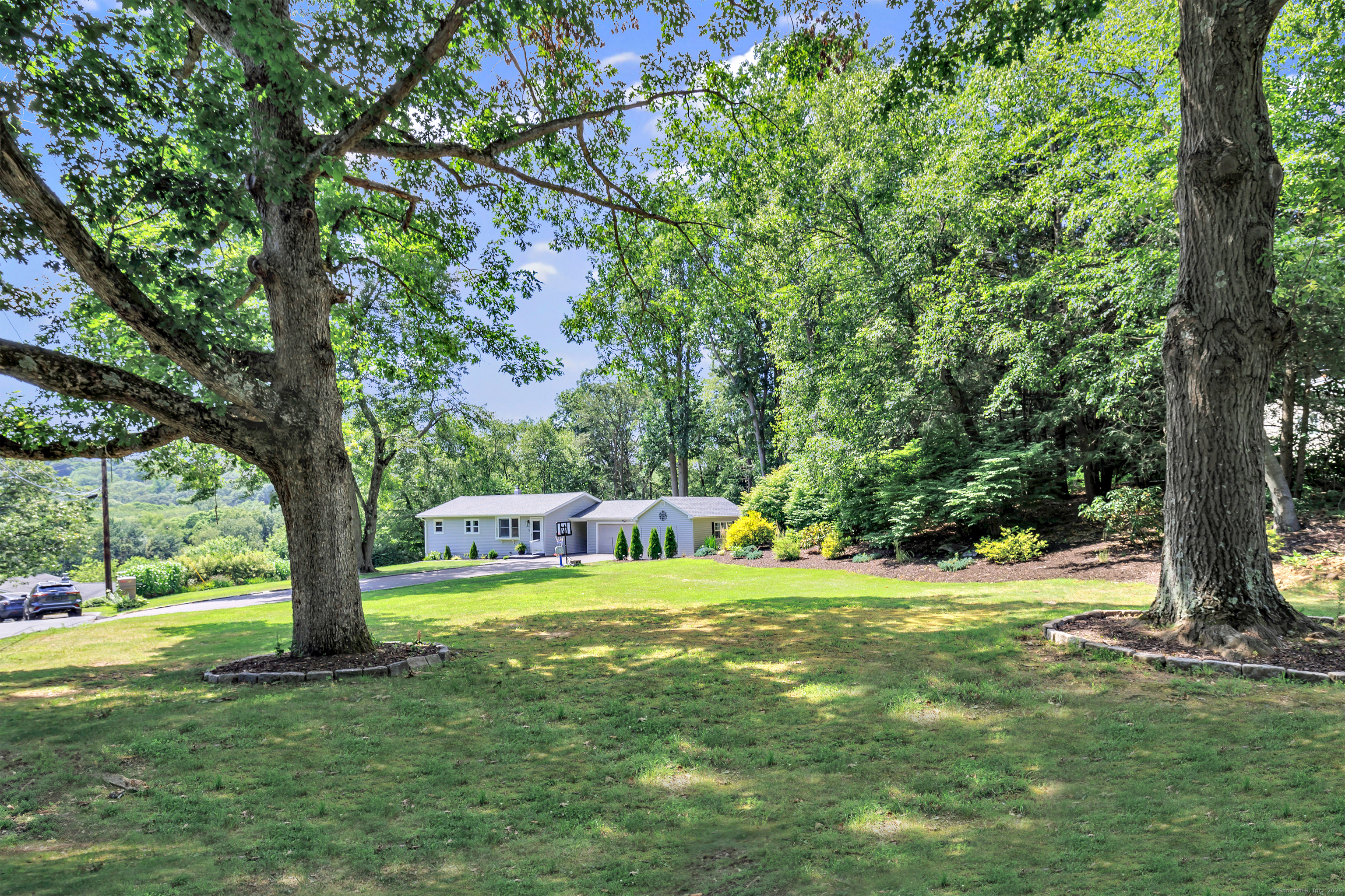 5 Treeland Road