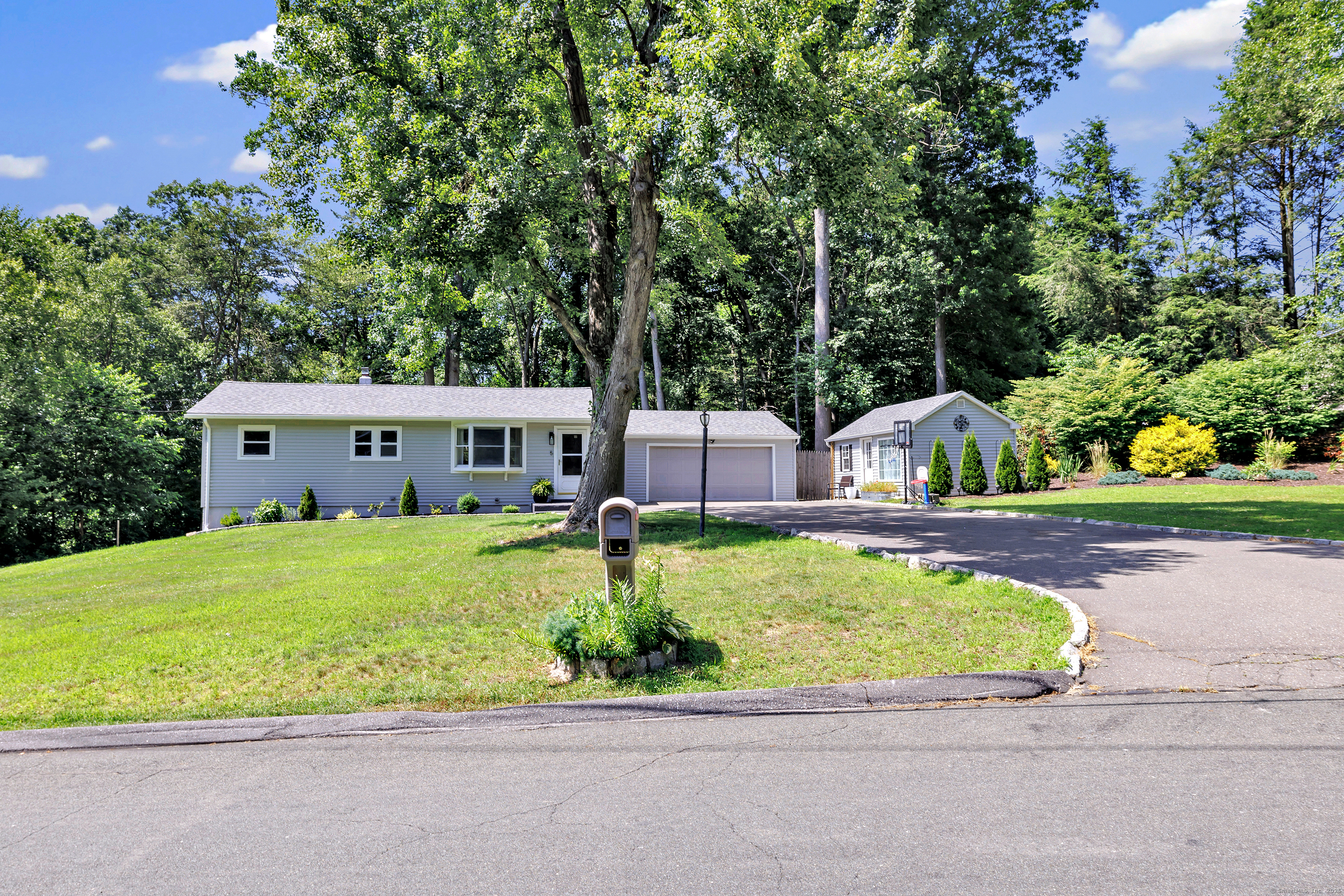 5 Treeland Road