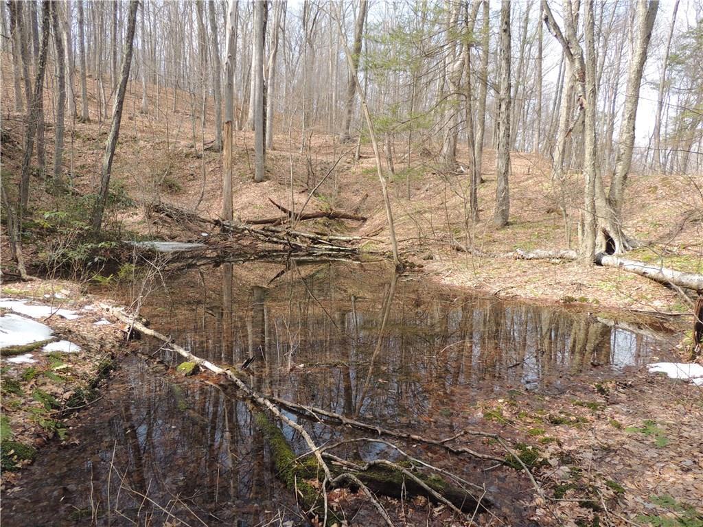 00 Scoville Ore Mine Road, Salisbury, Connecticut image 29