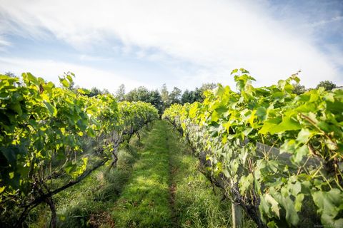 Tiny photo for 848 Route 171 Route, Woodstock, CT 06281 (MLS # 24074696)