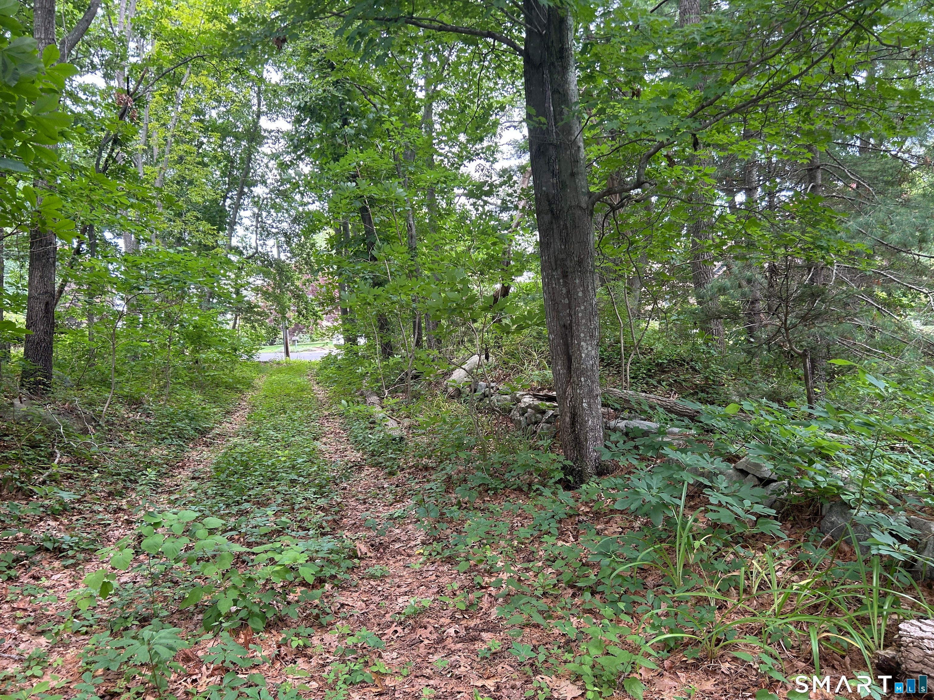 29 Skyline Drive