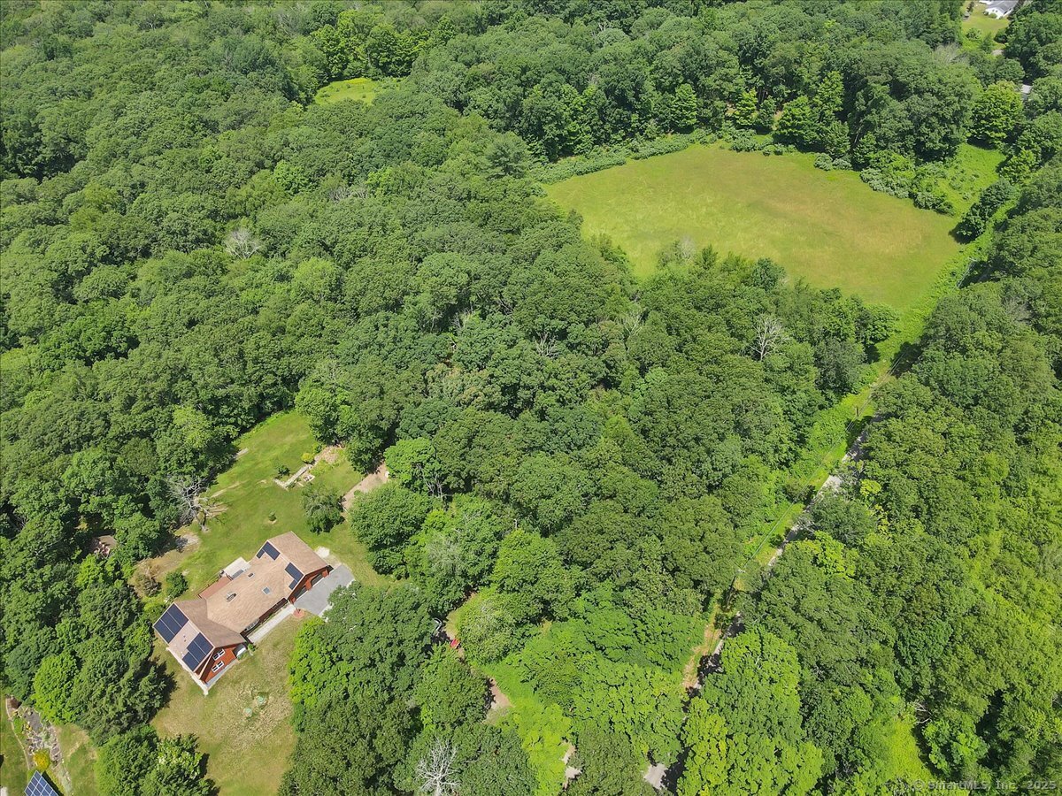 447 Woodland Road