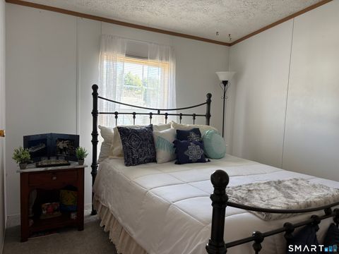 Tiny photo for 17 Haley Lane, Windham, CT 06256 (MLS # 24166344)