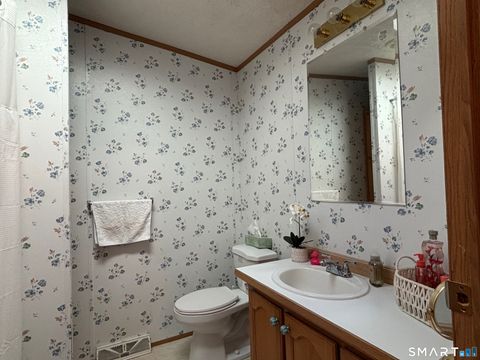 Tiny photo for 17 Haley Lane, Windham, CT 06256 (MLS # 24166344)