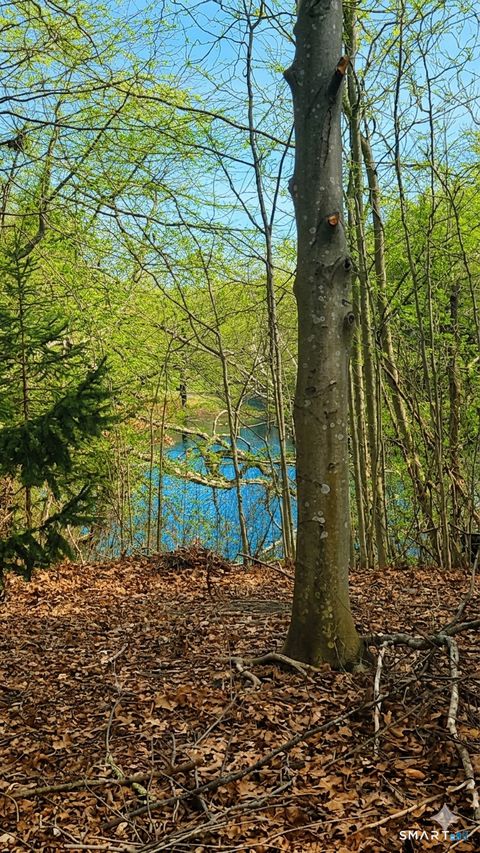 Tiny photo for 20 Apple Way, Madison, CT 06443 (MLS # 24163494)