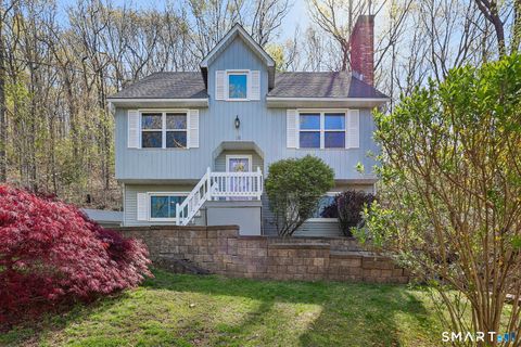 Photo of 16 Fox Road, Plainville, CT 06062 (MLS # 24167544)