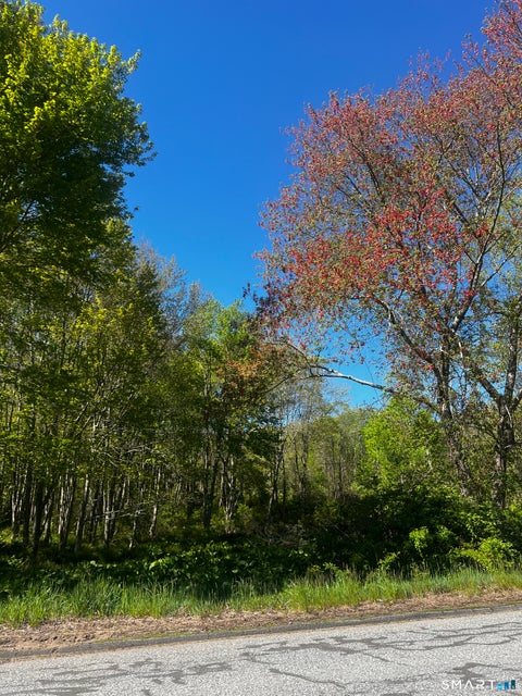 Vacant Land For Sale - 408 Martin Road<br/> Tolland County, Hebron, CT 06248