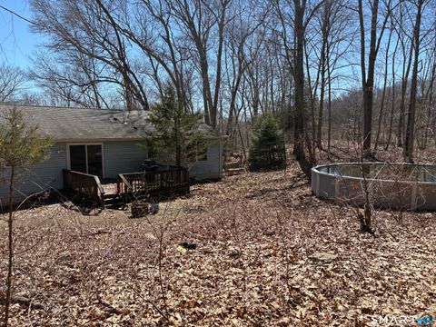 Tiny photo for 317 Old Jewett City Road, Preston, CT 06365 (MLS # 24166437)