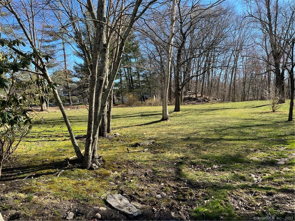 Photo 16 of 28 of 256 Butternut Lane land