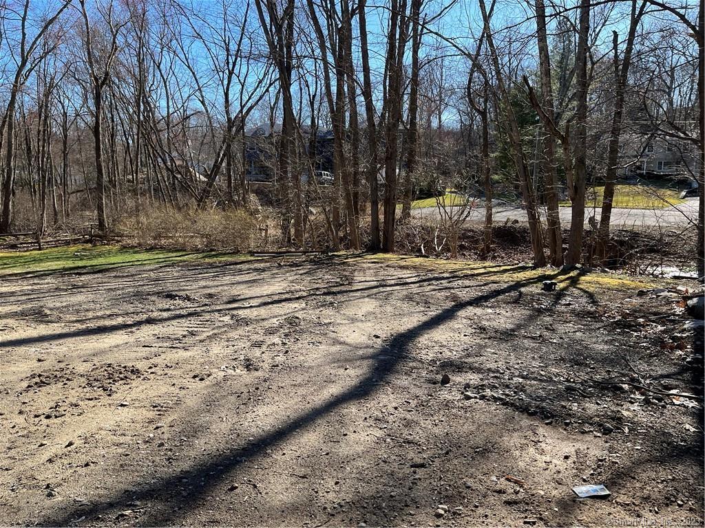 Photo 18 of 28 of 256 Butternut Lane land