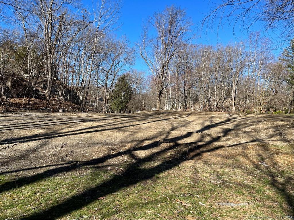 Photo 19 of 28 of 256 Butternut Lane land