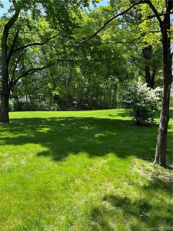 Photo 4 of 28 of 256 Butternut Lane land