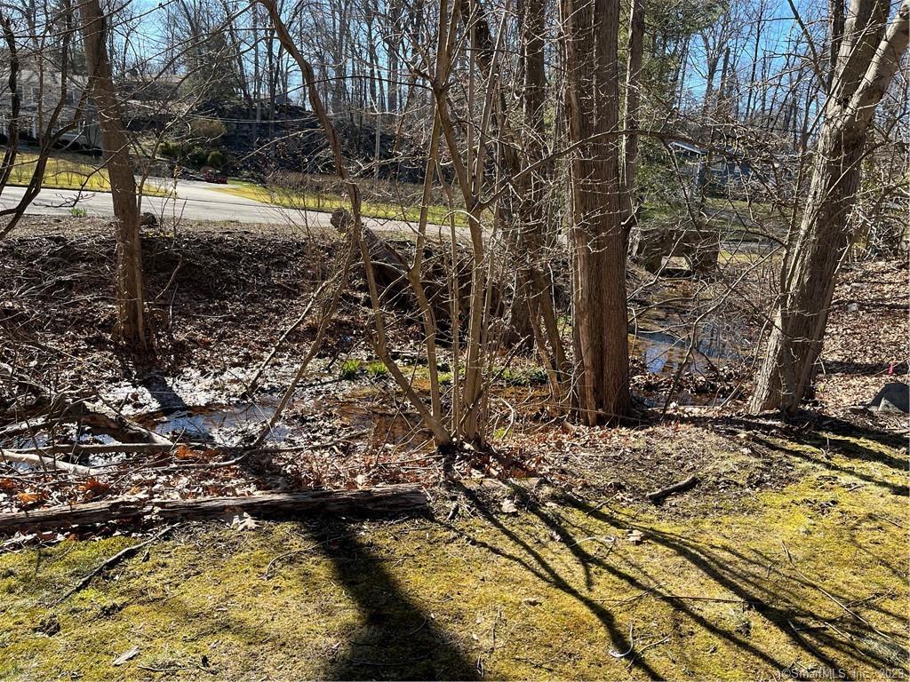 Photo 20 of 28 of 256 Butternut Lane land