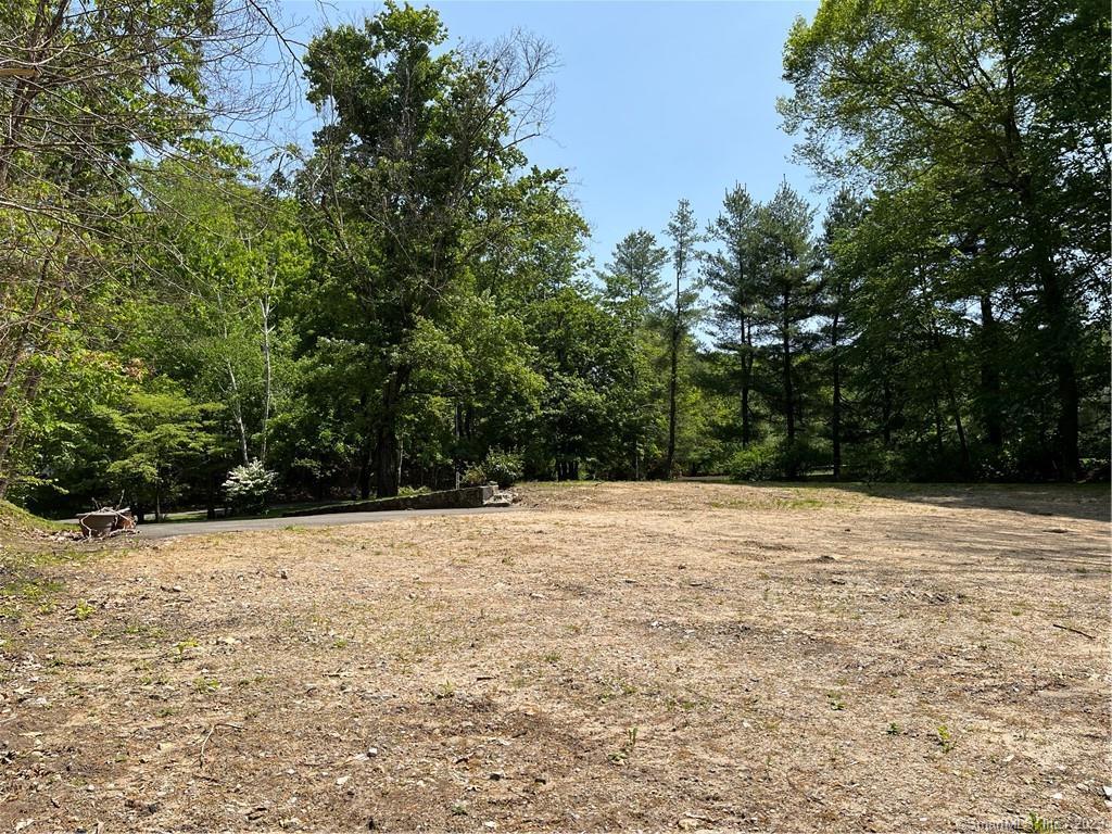Photo 14 of 28 of 256 Butternut Lane land