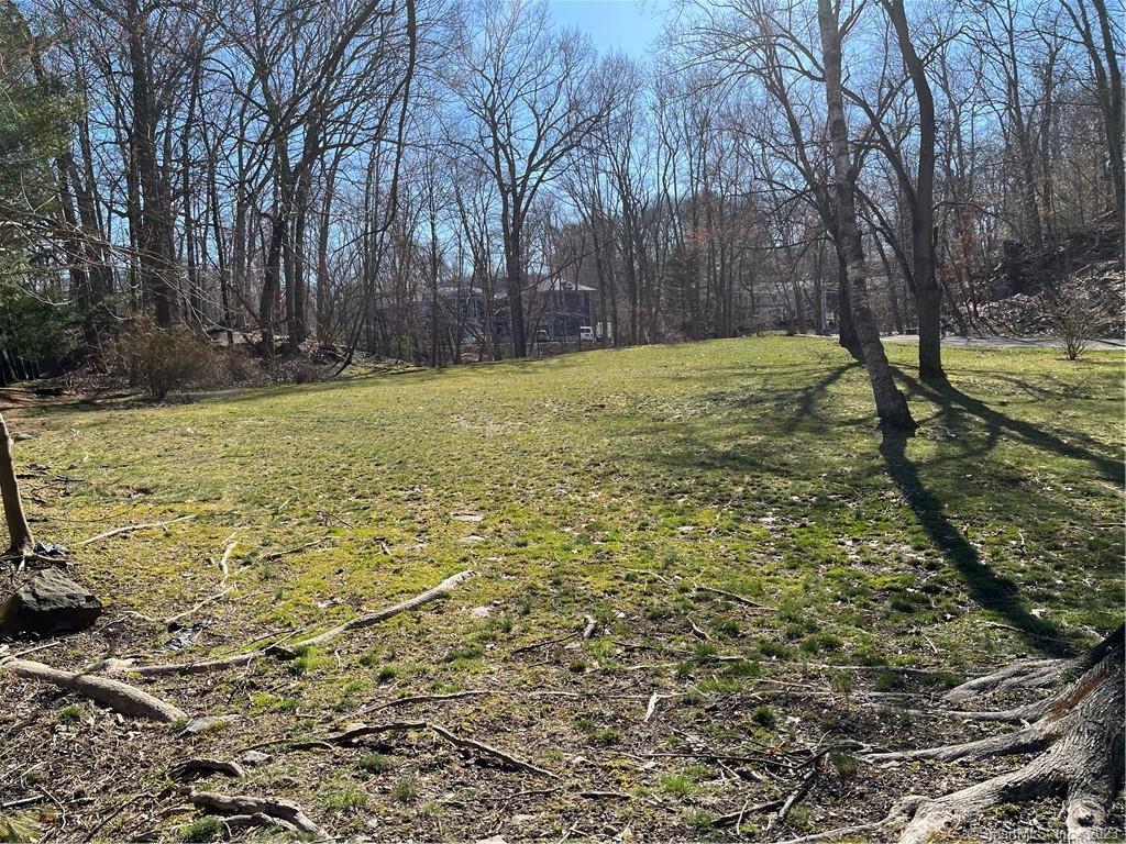 Photo 17 of 28 of 256 Butternut Lane land