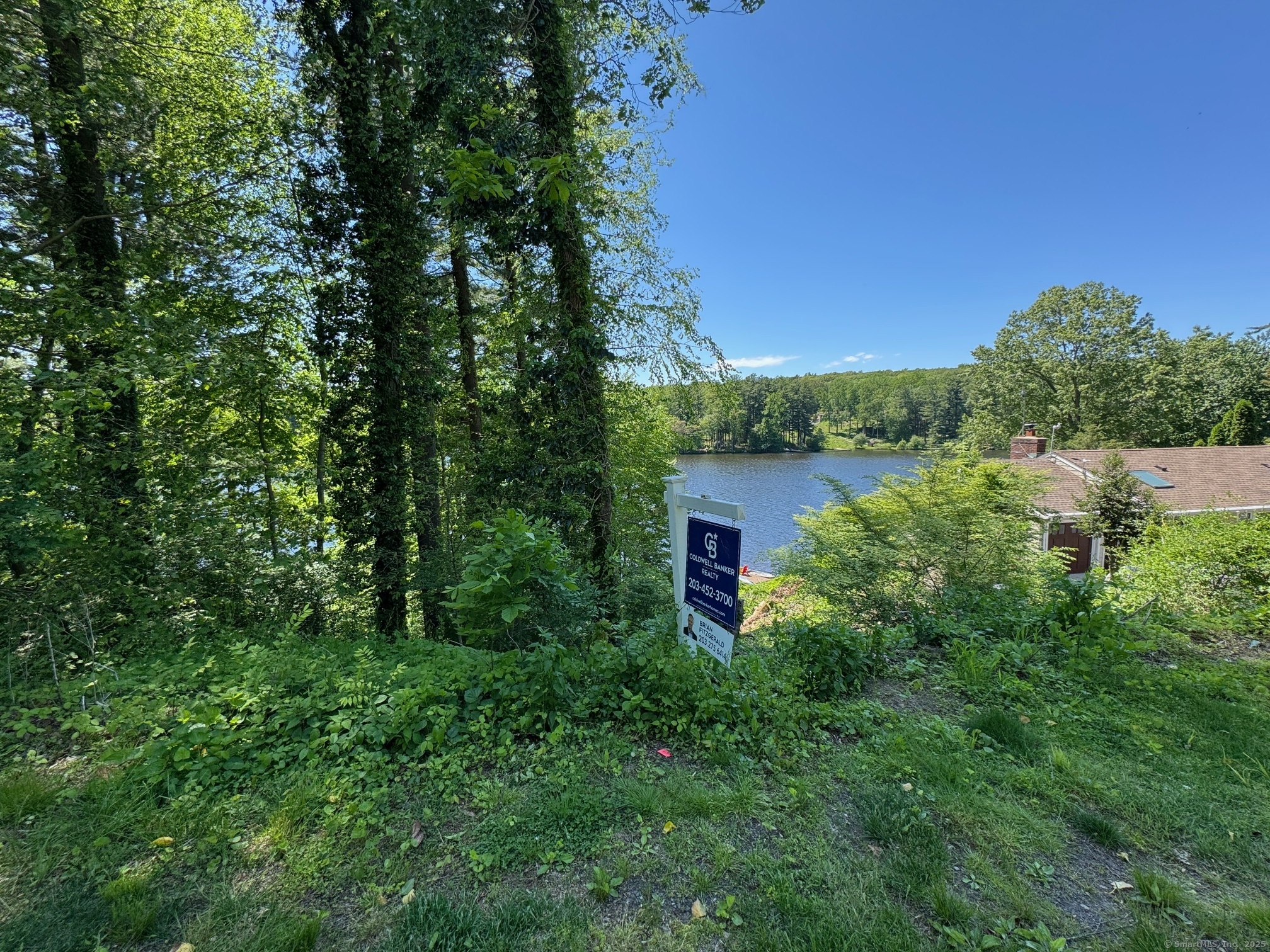 Pinewood Trail
