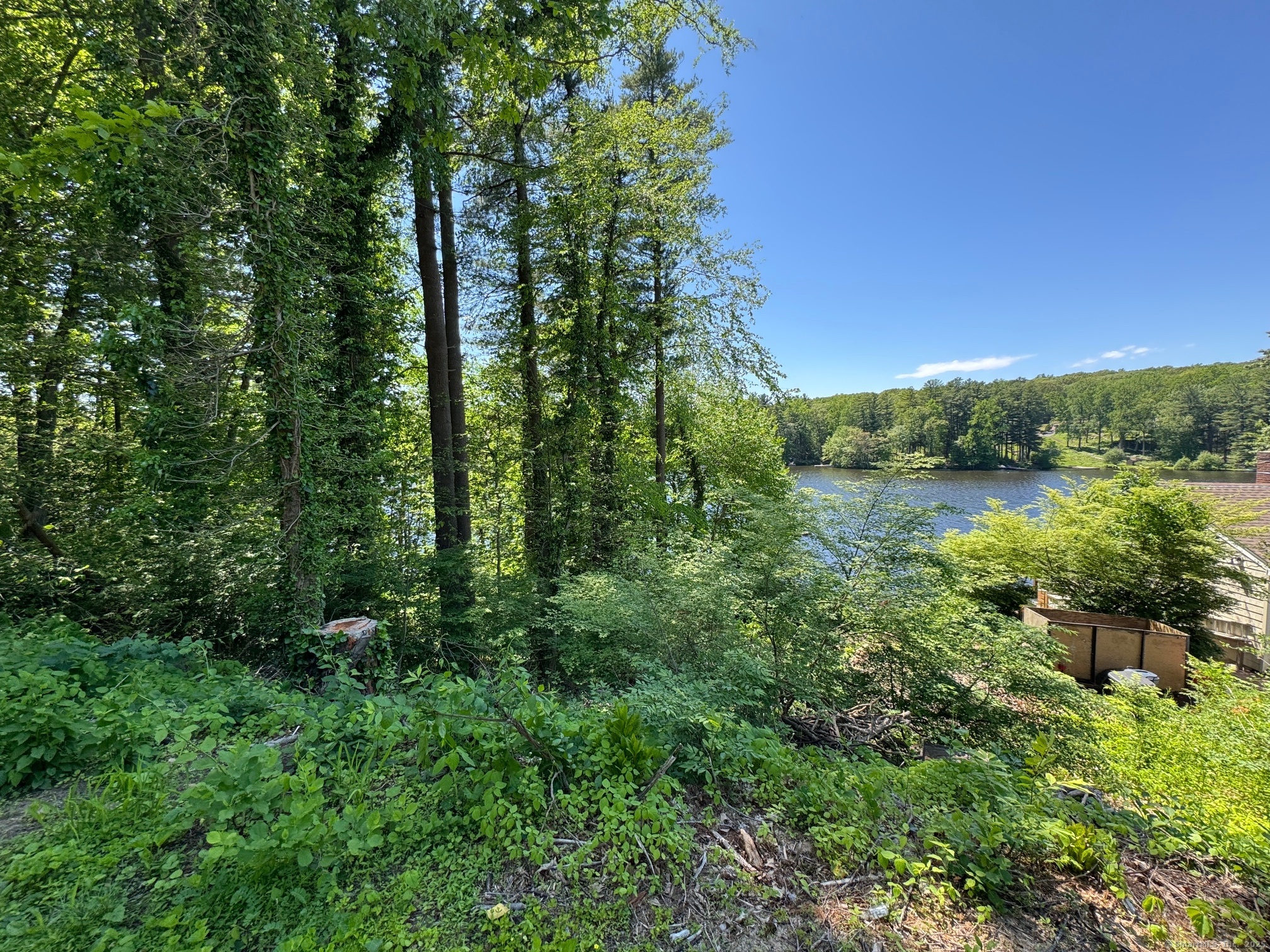Pinewood Trail