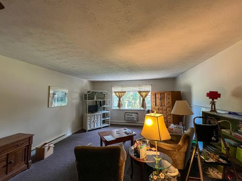 103 Horse Pond Road APT E Salem CT 06420