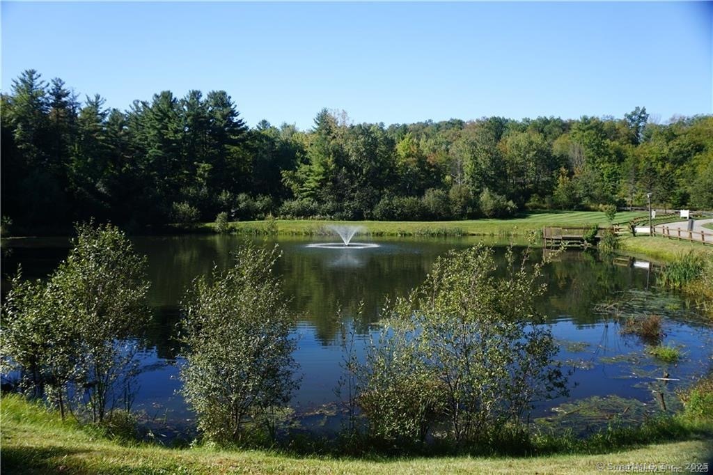 73 Cantor Lane, Torrington, Connecticut image 36