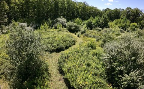 Tiny photo for Bethel, CT 06801 (MLS # 24121758)