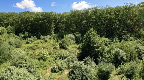 Tiny photo for Bethel, CT 06801 (MLS # 24121758)