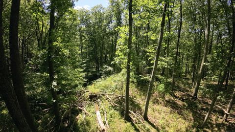 Tiny photo for Bethel, CT 06801 (MLS # 24121758)