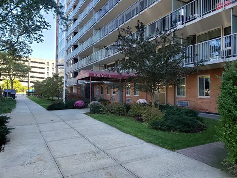 100 York Street 5M New Haven CT 06511