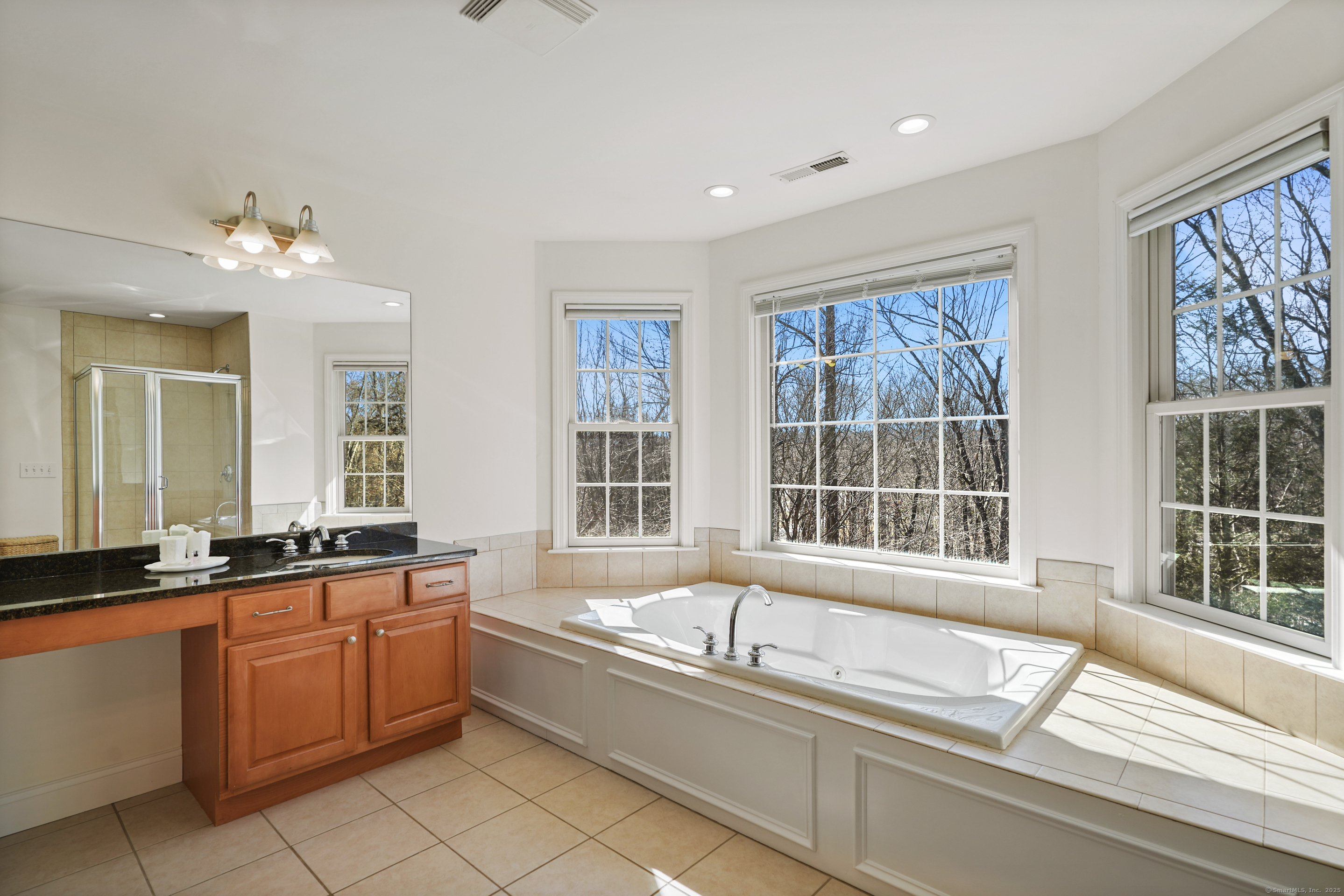 6 Nature Lane, Brookfield, Connecticut image 28