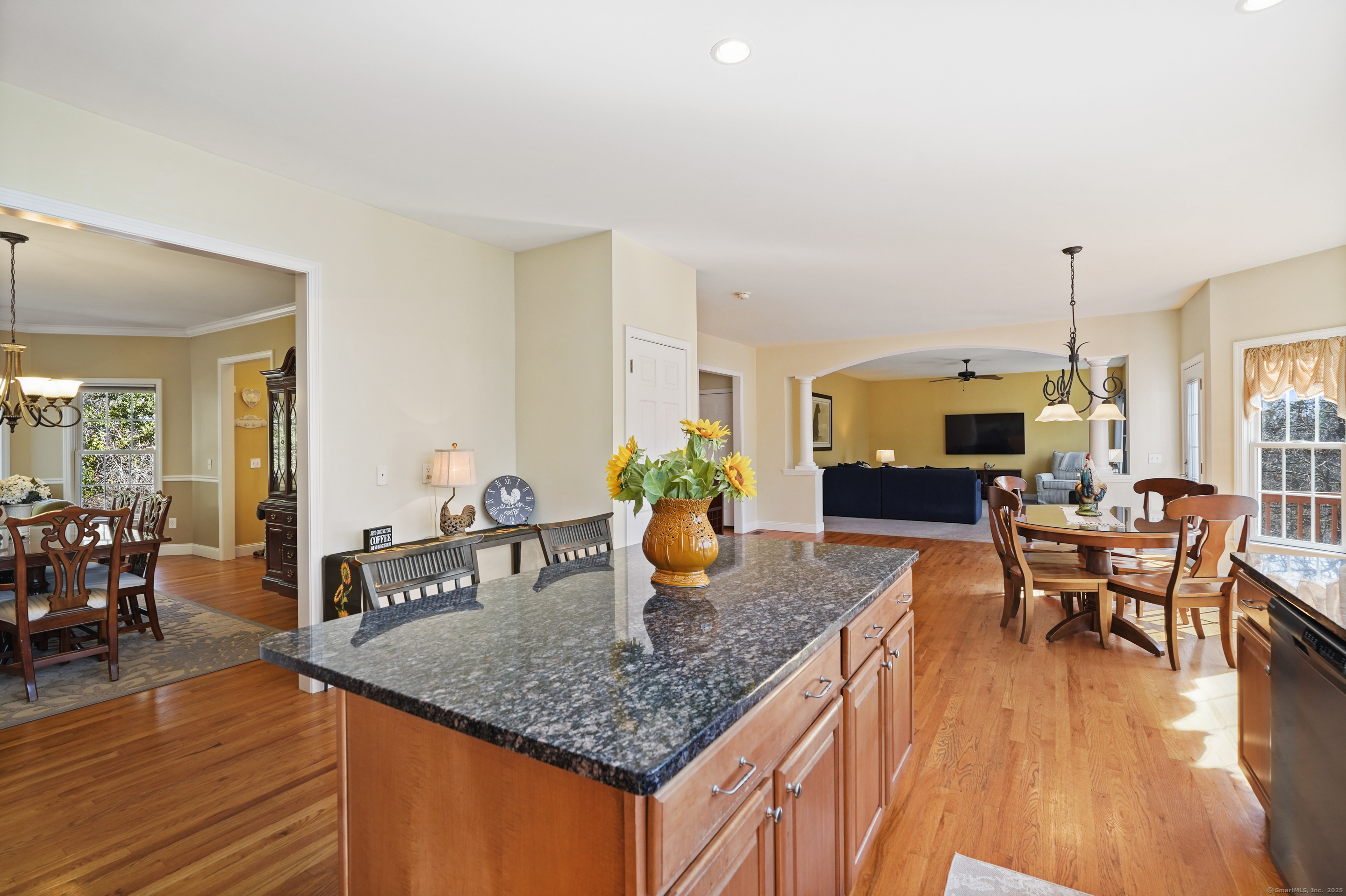 6 Nature Lane, Brookfield, Connecticut image 16