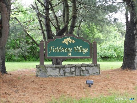 Tiny photo for 14 Pinney Street #APT 46, Ellington, CT 06029 (MLS # 24151962)