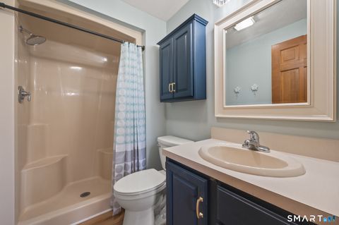 Tiny photo for 242 Summer Street #242, Portland, CT 06480 (MLS # 24157069)