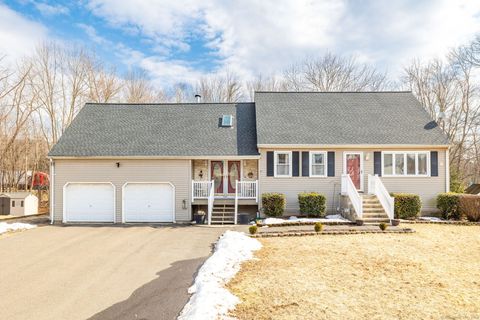 143 Pickney Avenue, Plainville, CT 06062 - #: 24075499
