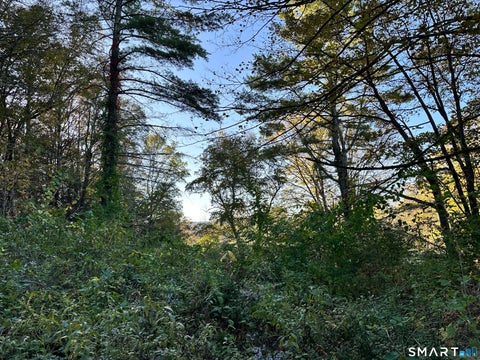 Photo for 5 Prospect Mountain Road
