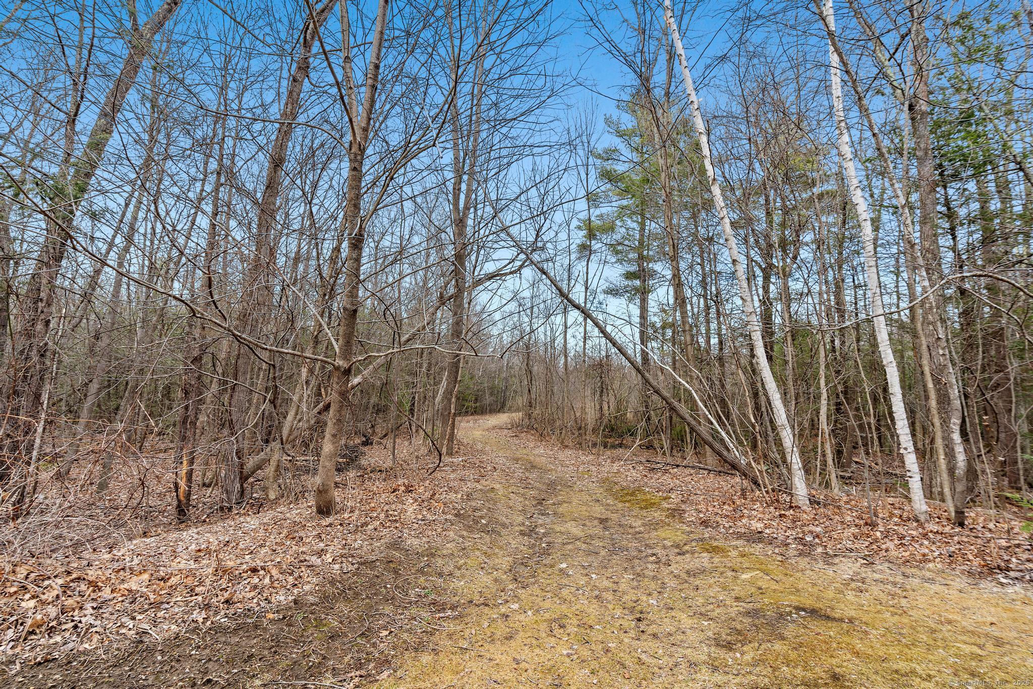 67 Sage Way Way, Torrington, Connecticut image 28
