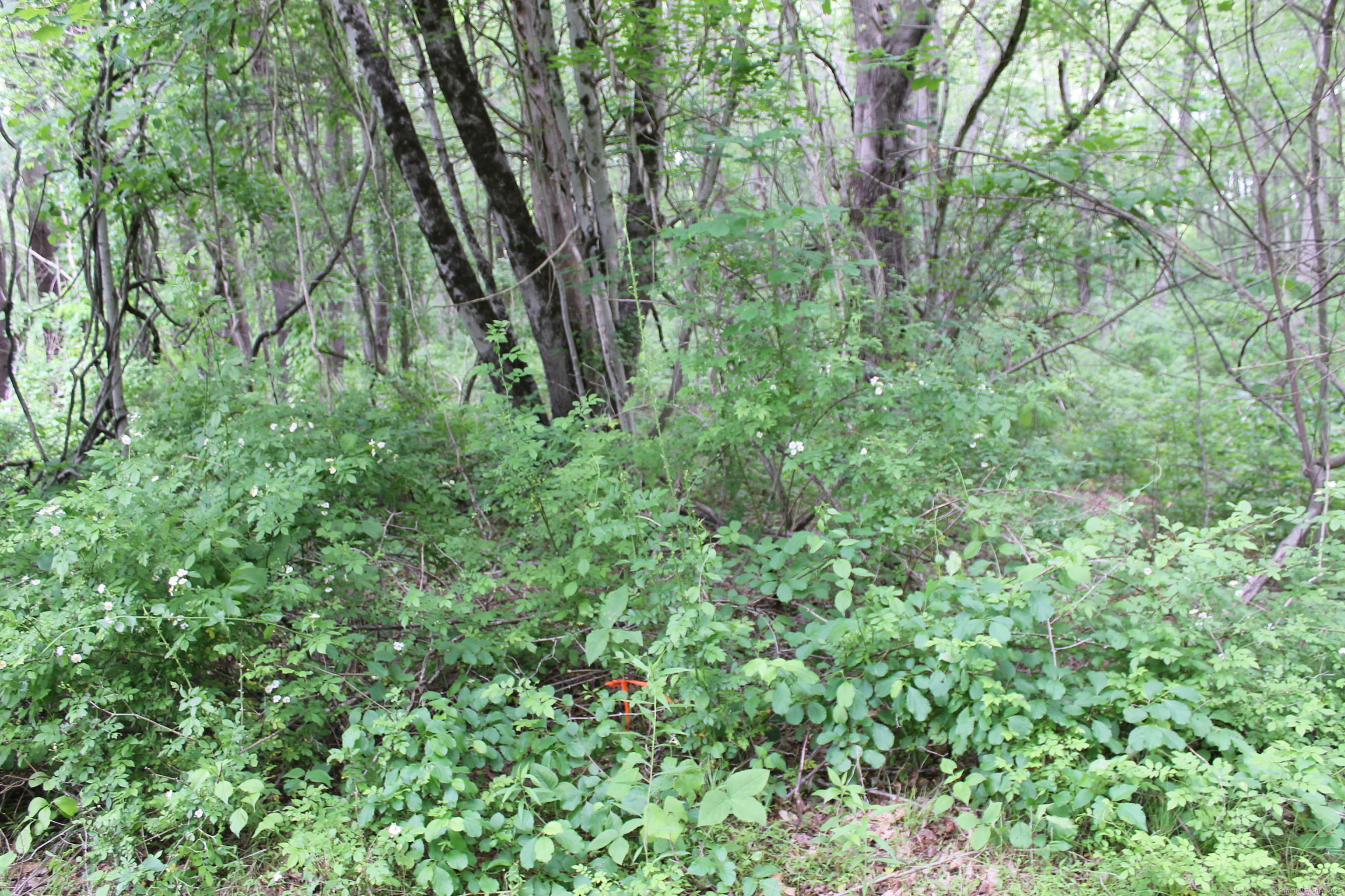 Lot #3 Ross Hill Road