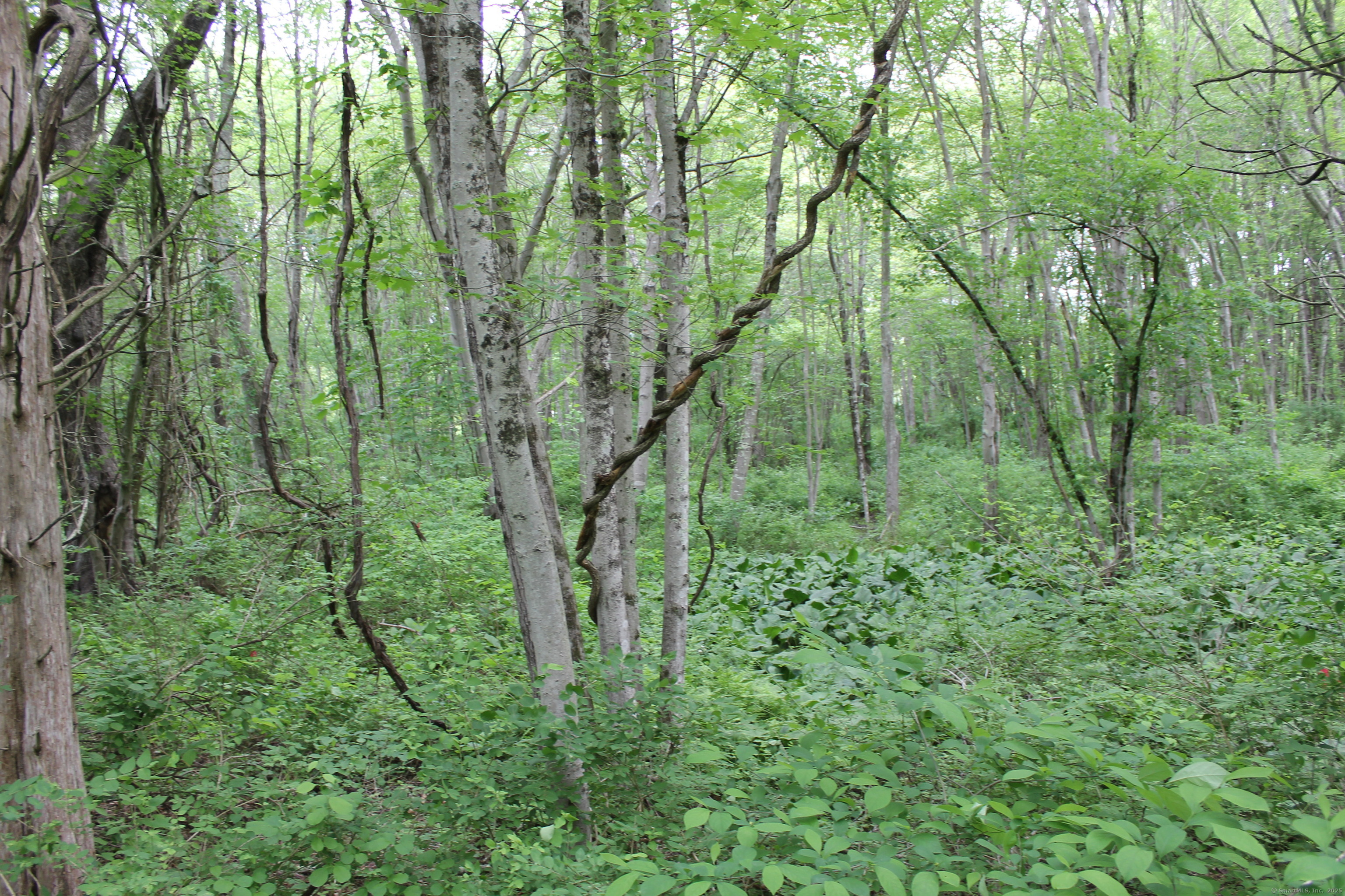 Lot #3 Ross Hill Road