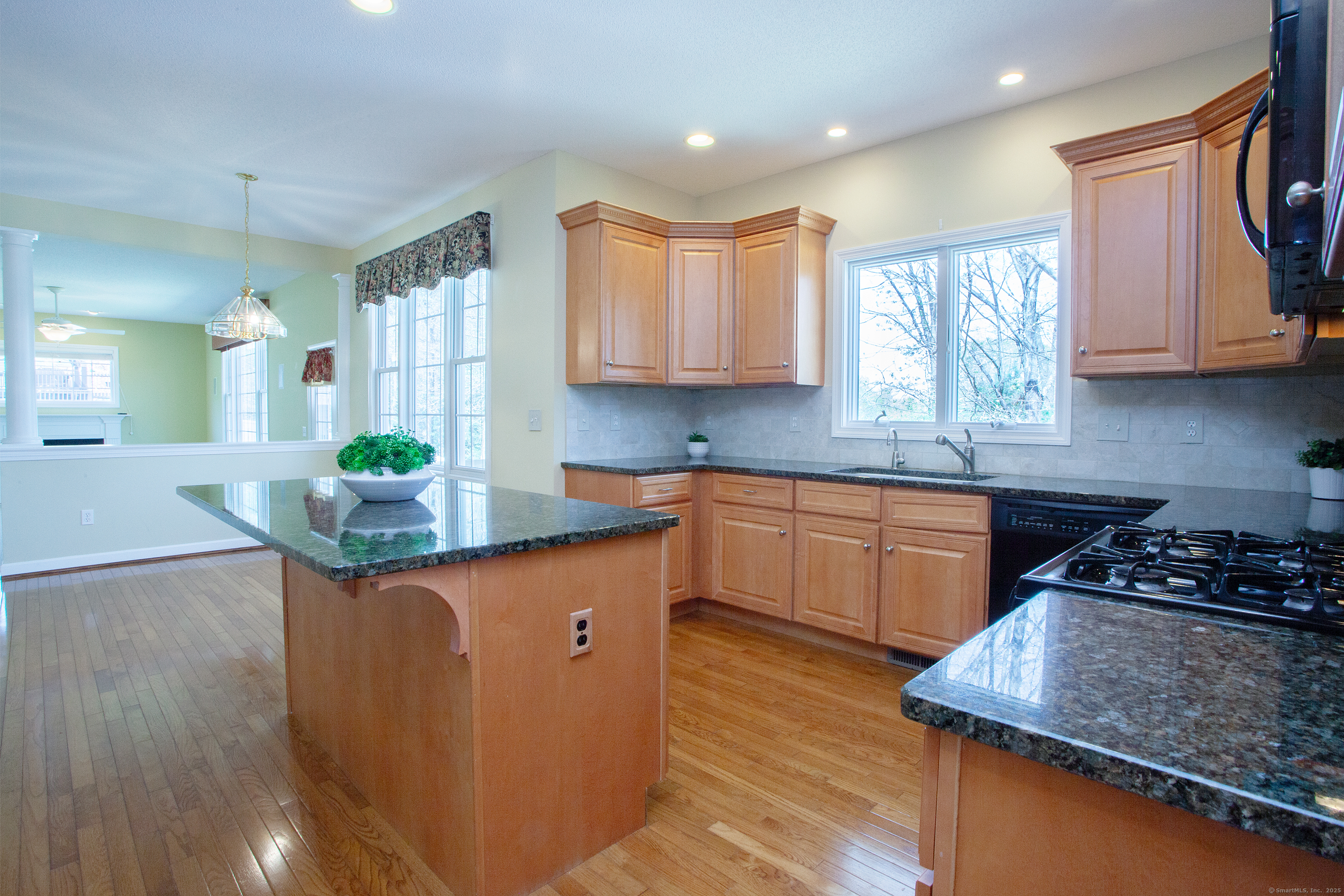315 Briarwood Drive, Manchester, Connecticut image 9