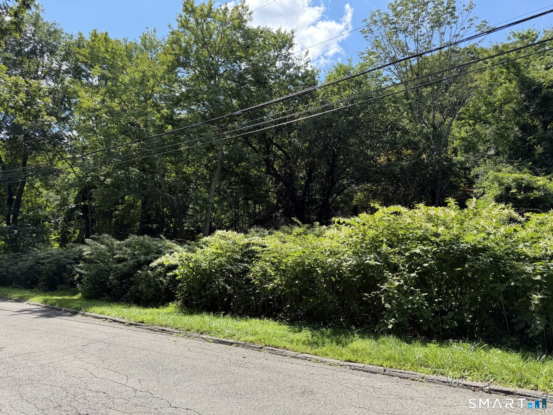 431 Haviland Road