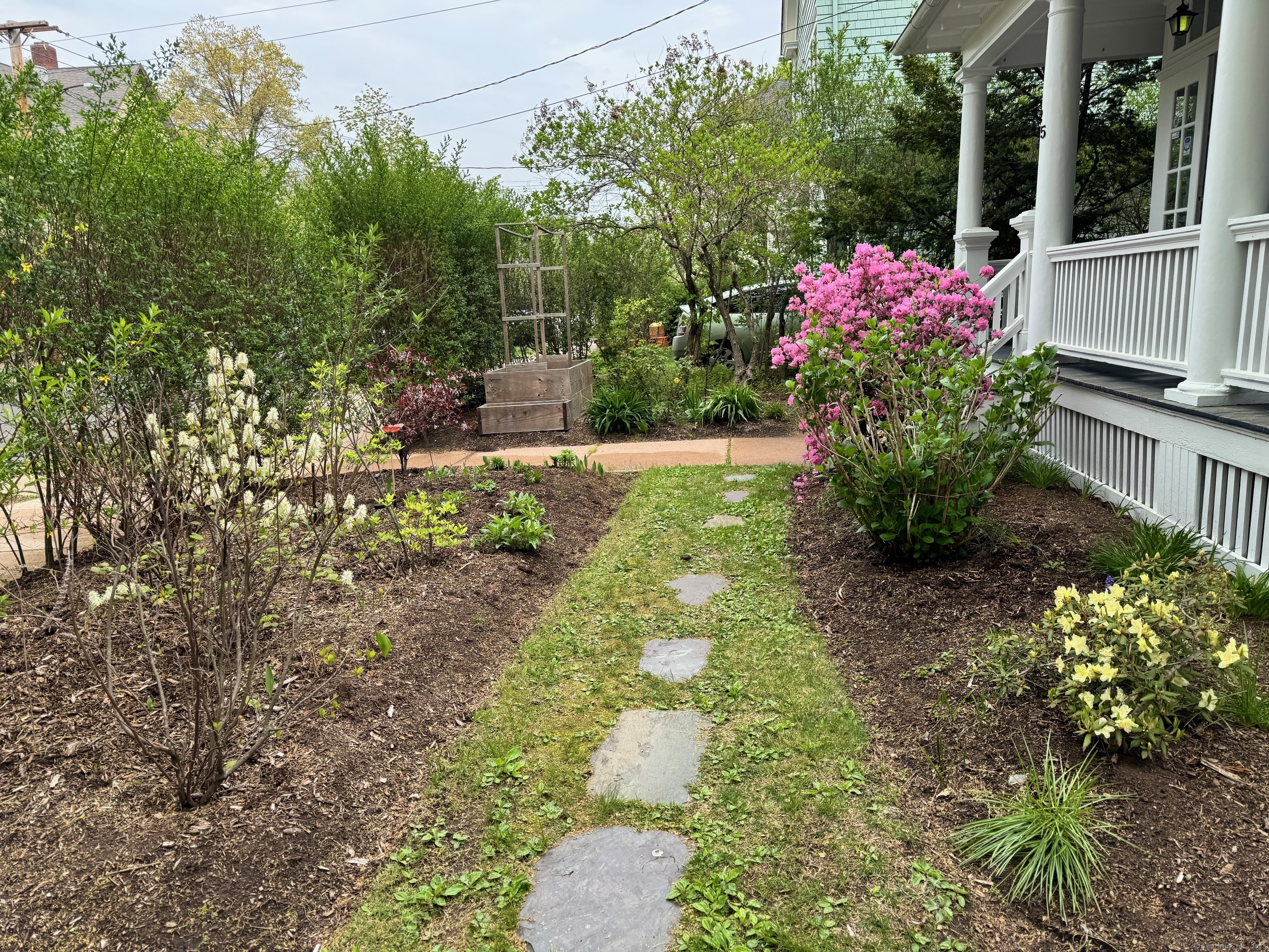 125 Livingston Street, New Haven, Connecticut image 3