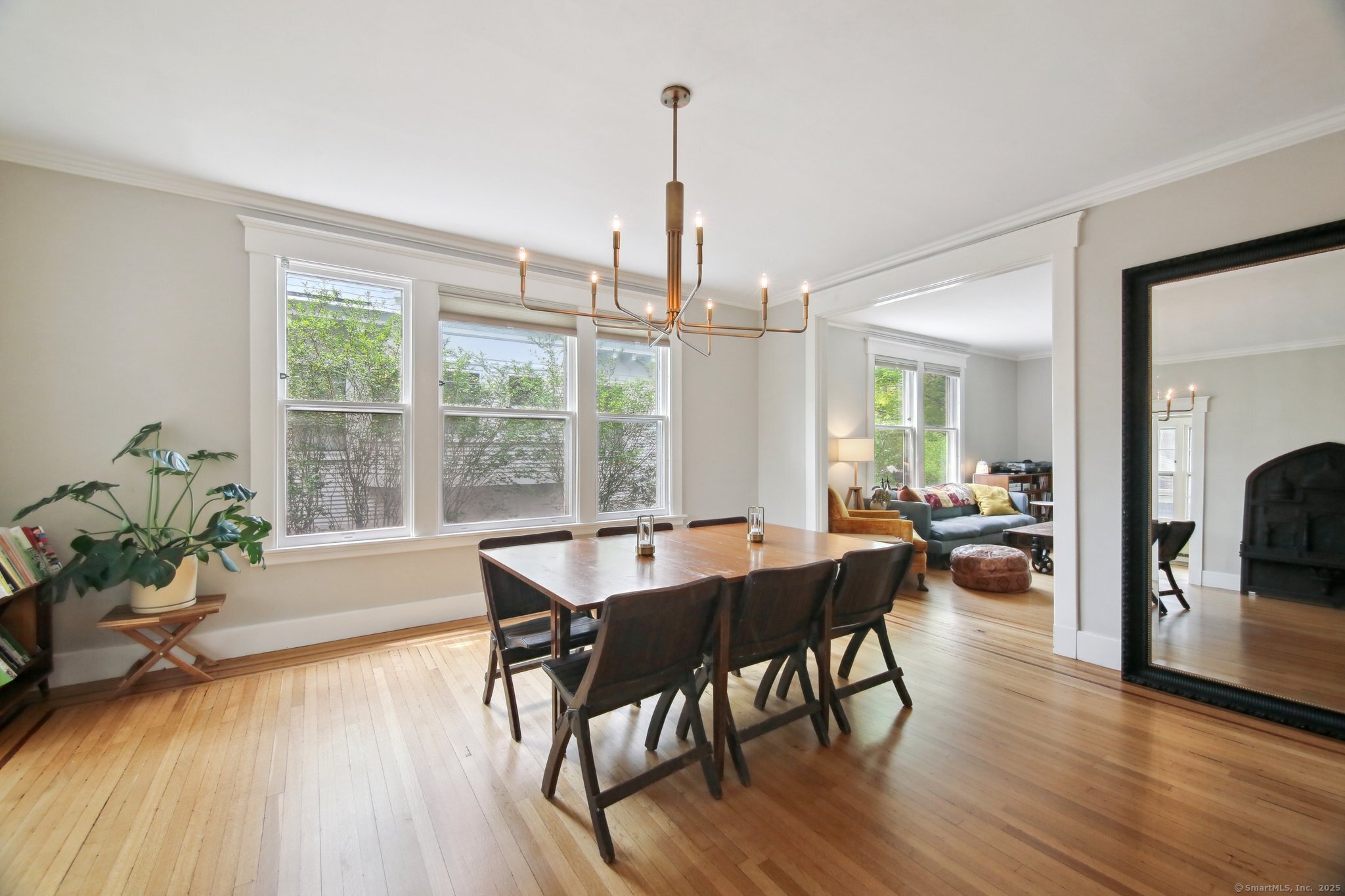 125 Livingston Street, New Haven, Connecticut image 13