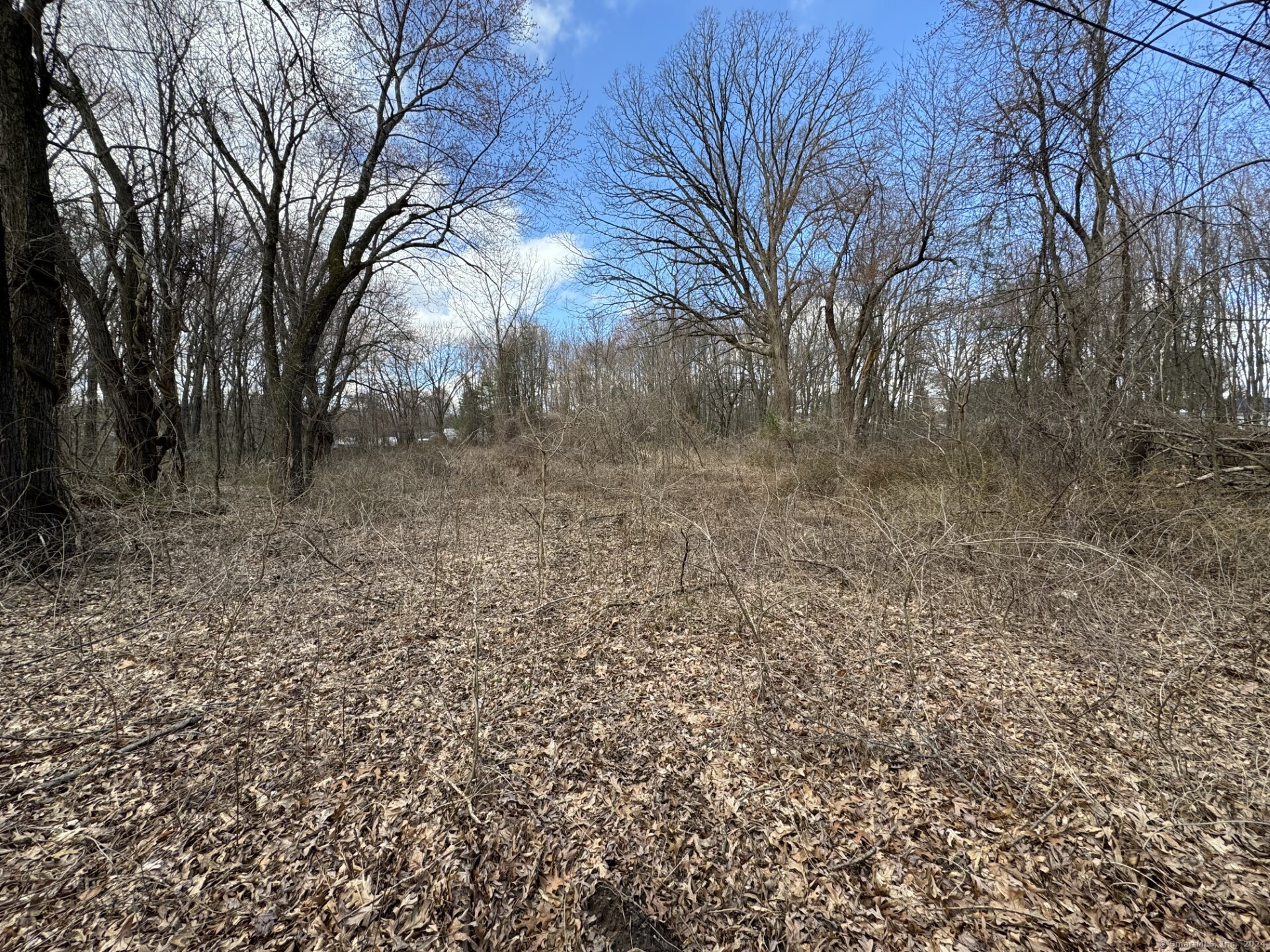 Tower Avenue, Bloomfield, Connecticut -  - 