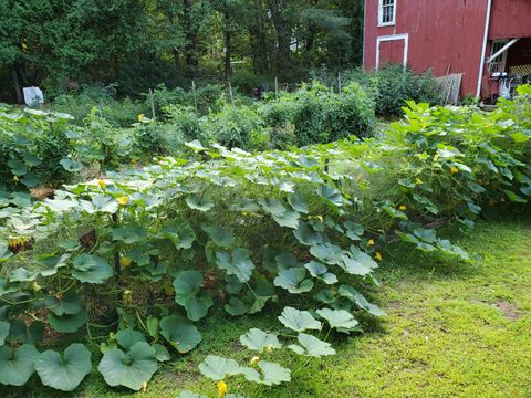 A home in Hartland