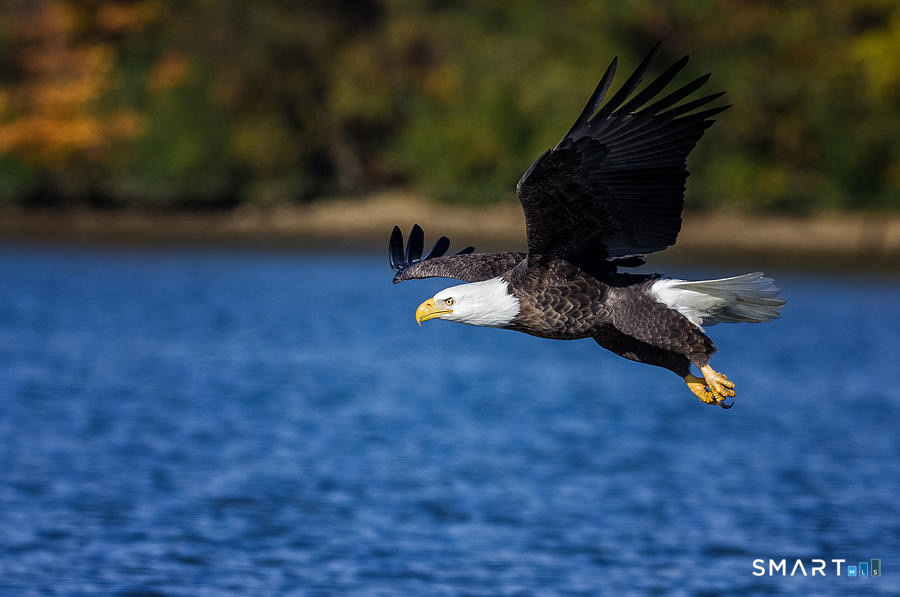 112 West Lake Road D4