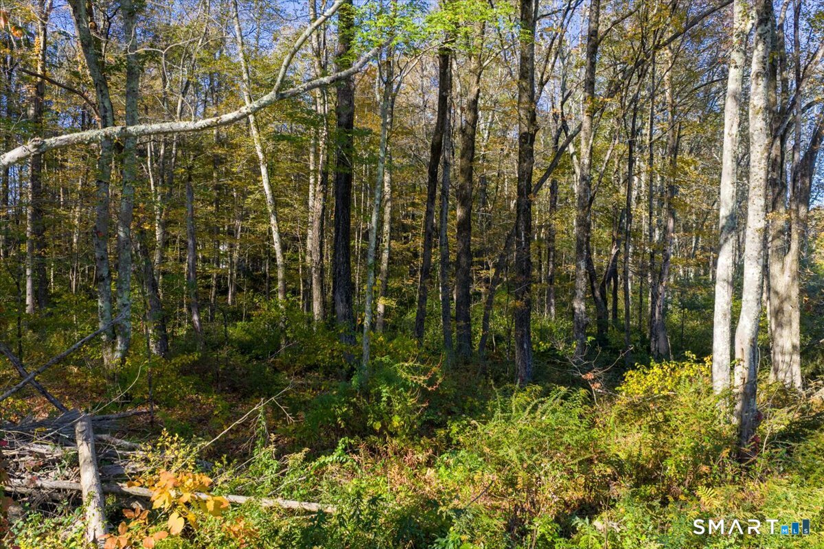 Lot 13A, Somers Turnpike