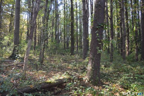 Tiny photo for Lot 13A, Somers Turnpike, Woodstock, CT 06281 (MLS # 24145820)