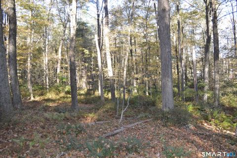 Tiny photo for Lot 13A, Somers Turnpike, Woodstock, CT 06281 (MLS # 24145820)